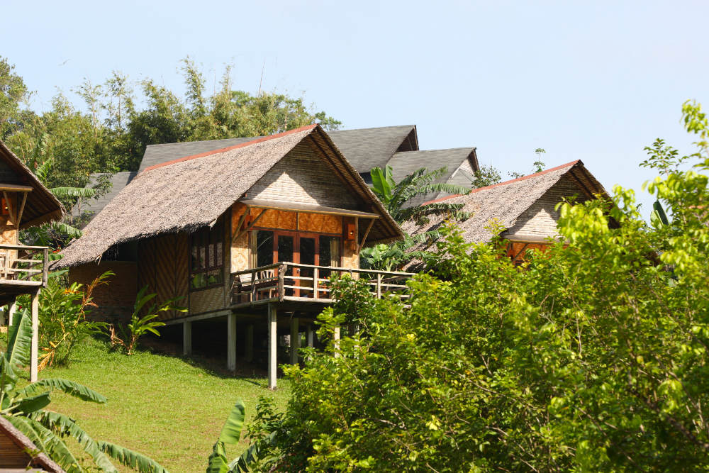 Rustic Thatched Hut